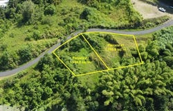 Magueyez, Corozal, PR 00783