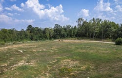 289 Shepherd Loop Drive, Arkadelphia, AR 71923