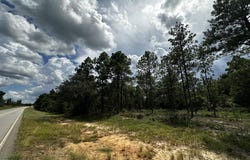 Highway 0041, Box Springs, GA 31801