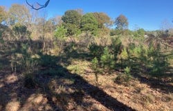 Landry Lane lot: See Survey, Eunice, LA 70535