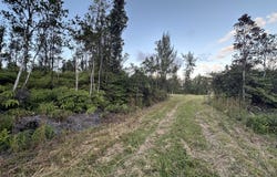 ROAD 2 (AO), Mountain View, HI 96771