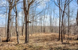 Forest Circle, Sparta, TN 38583
