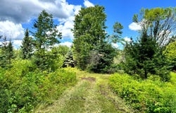 1.2 Tannery Rd, Western, NY 13486