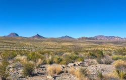 Cedar Springs Road, Terlingua, TX 79852