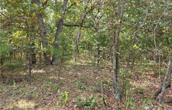Araskog Drive, Edwards, MO 65326