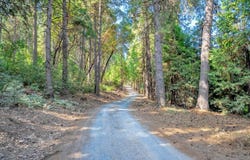 TBD CA-88, Pioneer, CA 95666