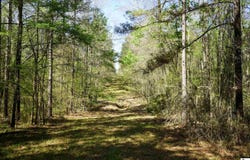 0ABC ANDERSON ROAD, Choudrant, LA 71227