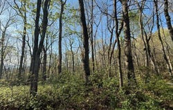 Thunderhead, Sky Valley, GA 30537