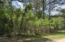12 Rubie Lane, Yemassee, SC 29945