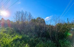 Frankstown Road & Gauntner Street, Johnstown, PA 15902