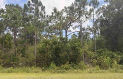 710 Timber Ridge, East Point, FL 32328