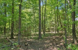 103 Green Street, Northborough, MA 01532