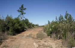0C ANDERSON ROAD, Choudrant, LA 71227