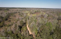 1711 U.S. 82, Eupora, MS 39744