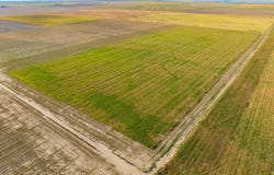 County Rd 16, Ovid, CO 80744