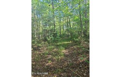 Hannah Davidson Rd, Sunbright, TN 37872