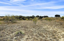 120 Blue Heron Court, Comanche, TX 76442