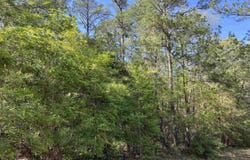 370 CR 222, Brookeland, TX 75931