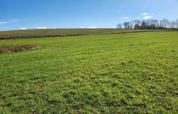Hoffman Road, Guilford, NY 13780