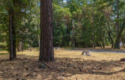 25331 Sherwood Road, Willits, CA 95490
