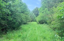Old Cherokee Trail, Saluda, SC 29138