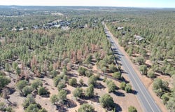 Parcel 309-27-014E, Show Low, AZ 85901