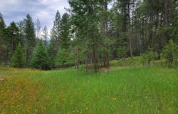 40 EVERGREEN Dr, CURLEW, WA 99118