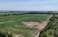 23666 Mickey Rd, Trumann, AR 72472