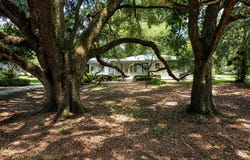 509 Hwy 29, Eunice, LA 70535