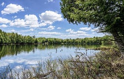 ON HEWITT LN, Oma, WI 54534