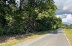 TV Tower Road, Kinder, LA 70648