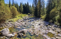 195 Twilight Lane, Sandpoint, ID 83864