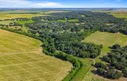 CR 382, Louise, TX 77455