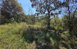E Abbott Road, Schell City, MO 64783