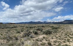 Antelope Lane, Mackay, ID 83251