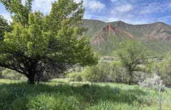 850 Greenway Drive, Glenwood Springs, CO 81601