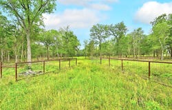 Fm 20, Lockhart, TX 78644