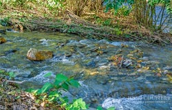 9472 N Old 16 Highway, Millers Creek, NC 28651