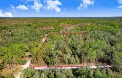 SONIA Avenue, WEBSTER, FL 33597