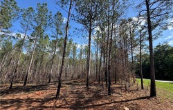 BARRON'S BRIDGE, DADEVILLE, AL 36853