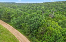 Cedar Reef lot: 23, Lampe, MO 65681