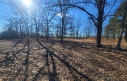 Hickory Flats Road, Ava, MO 65608