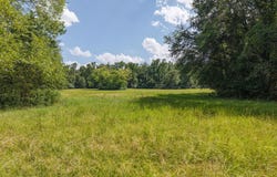 Hwy 67, Mount Vernon, TX 75457