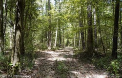 Mcintyre Road, Brandon, MS 39042