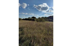 V/L Industrial Park Drive, Greenville, MI 48838