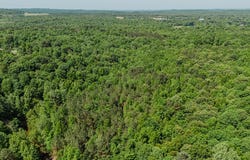 Flat Creek, Earlington, KY 42410
