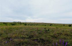 County Road 2109, Lampasas, TX 76550