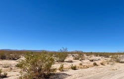 Arco, Joshua Tree, CA 92252