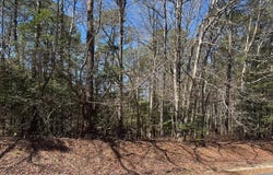 BUCCANEER BLVD lot: 1897, GREENBACKVILLE, VA 23356
