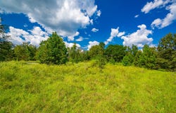 14799 FM 315, Palestine, TX 75803